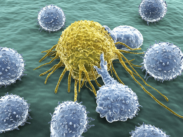 Immune cells attacking a cancer cell