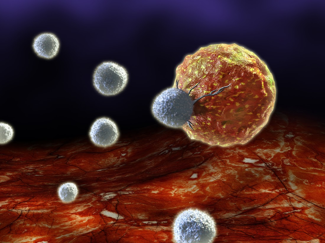 An artist's impression of cells