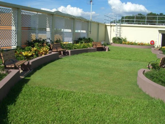 A roof garden