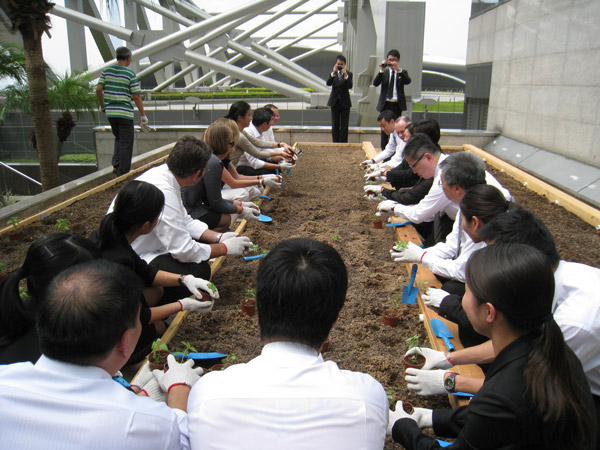 Employees learning about the garden
