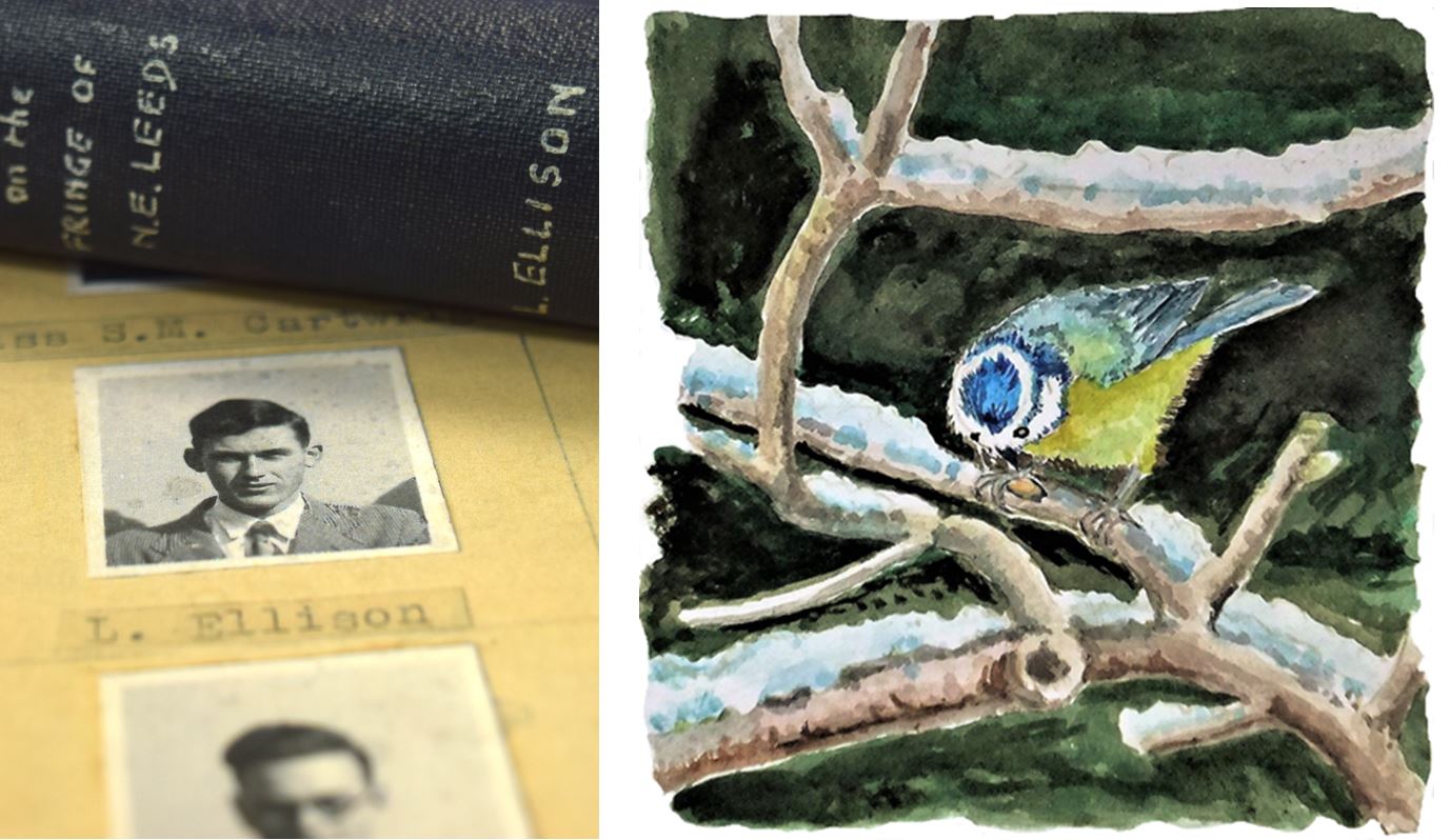 Illustration of book and bird by Leslie Ellison