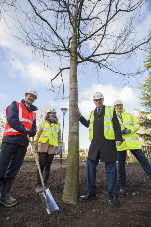 Group of four people around a newly planted tree