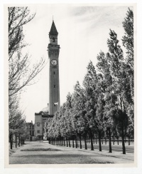 Old Joe with a tree-lined avenue