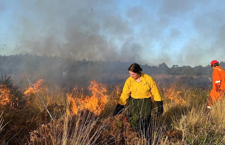 Kerryn Little assesses a small-scale wildfire