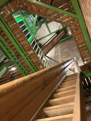 Old Joe steps_300.jpg