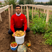 Burak on site at a farm, loading potatoes into a bucket. 