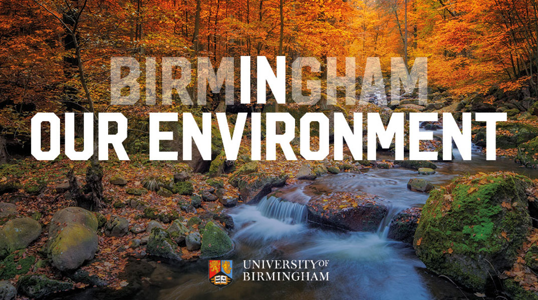 Birmingham In Our Environment