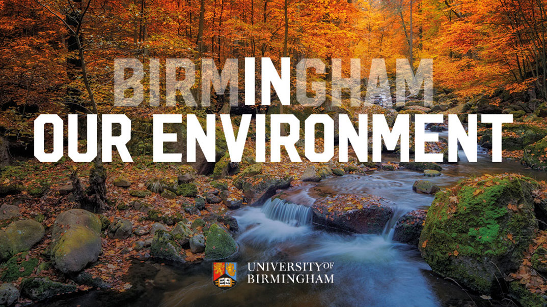 Birmingham In Our Environment