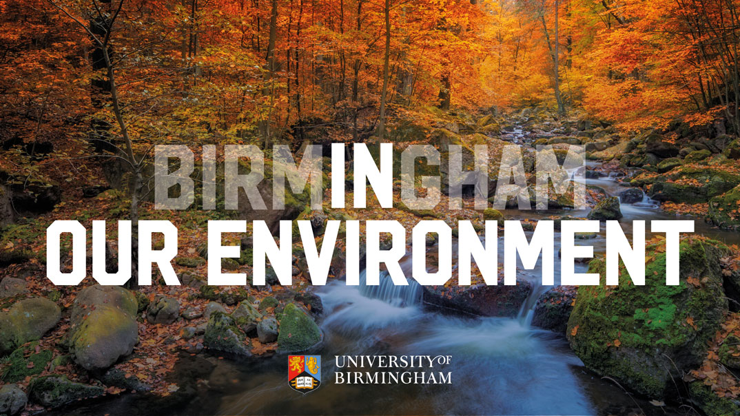 Birmingham in our environment